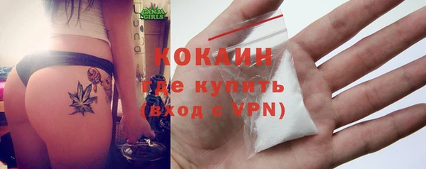 прущие грибы Майский