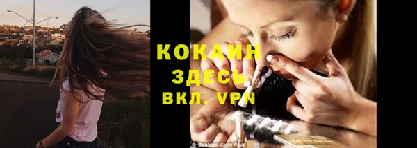 прущие грибы Майский