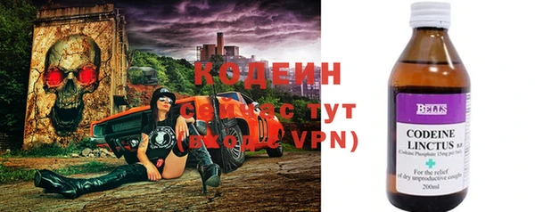 прущие грибы Майский