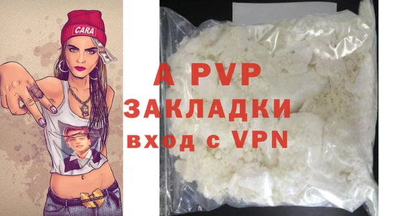 прущие грибы Майский