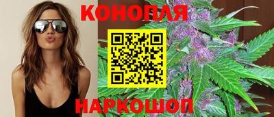 гашик Краснознаменск