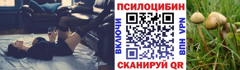 Псилоцибиновые грибы Magic Shrooms  наркота  Шали 